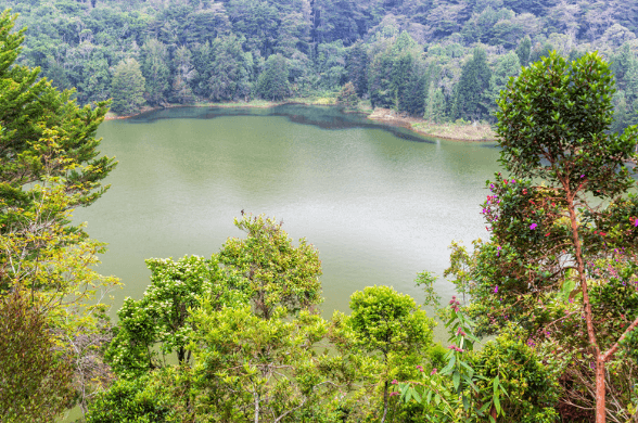 viajes a la naturaleza en medellín