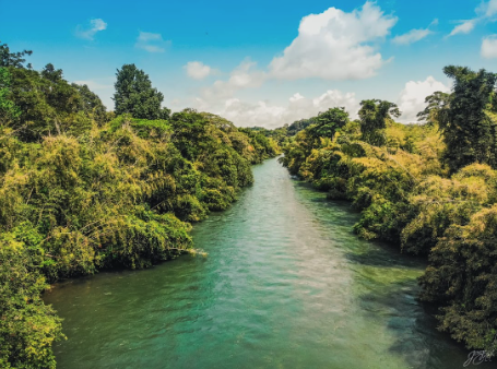 río la miel norcasia