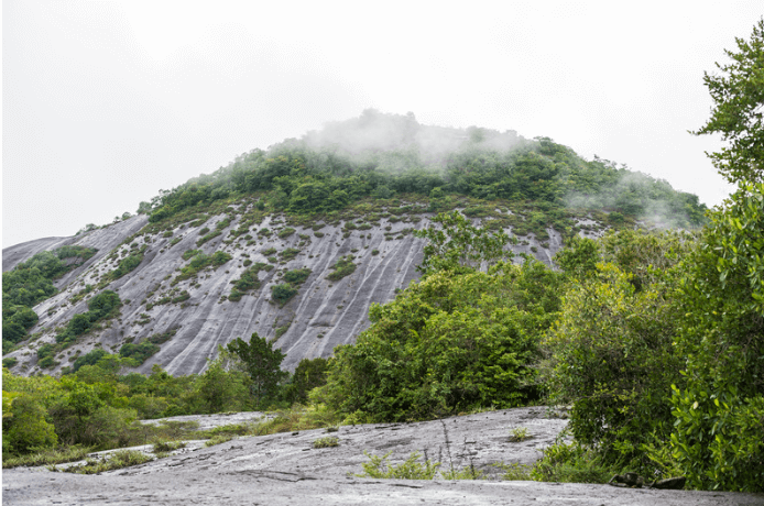 Mavecure Colombia