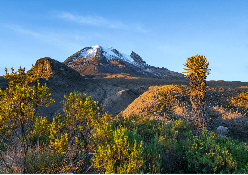 parque nacional los nevados