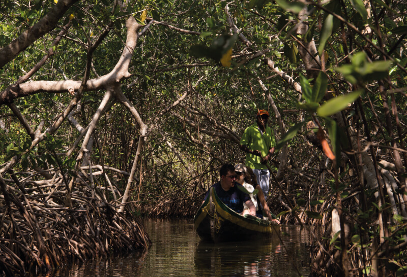 Manglares en Cartagena con experiencia de pesca