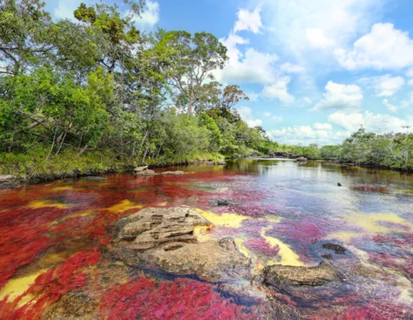 DISFRUTANDO DEL RÍO DE SIETE COLORES