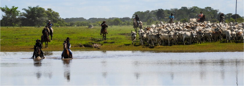 Llanos orientales con Go And Travel