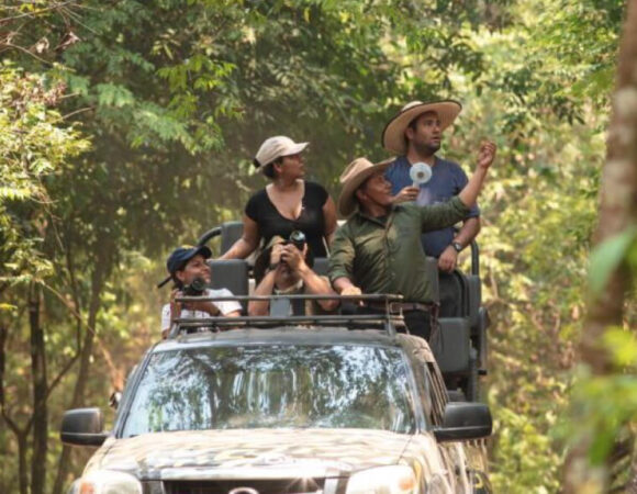 Colombia y un Safari Llanero
