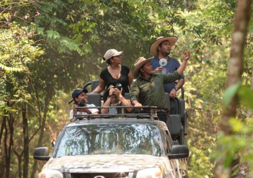 Colombia y un Safari Llanero