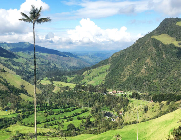 Visita a Salento y Valle del Cocora