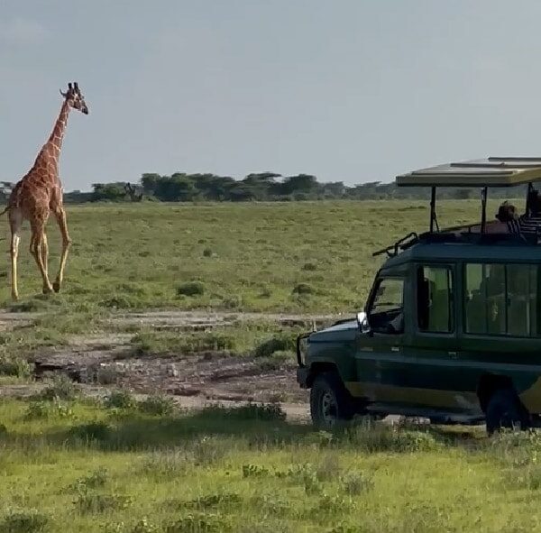 Viaja 9 días por Kenia Safari