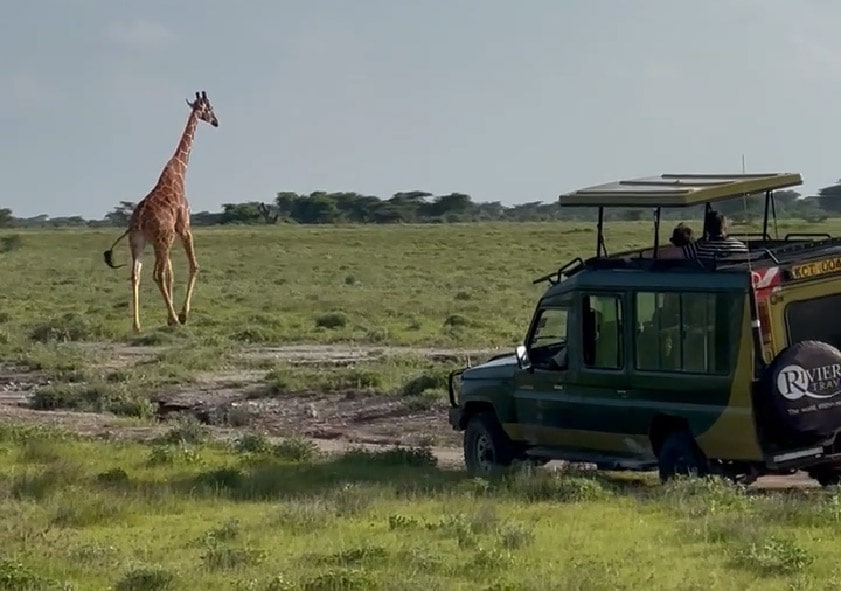 Viaja 9 días por Kenia Safari